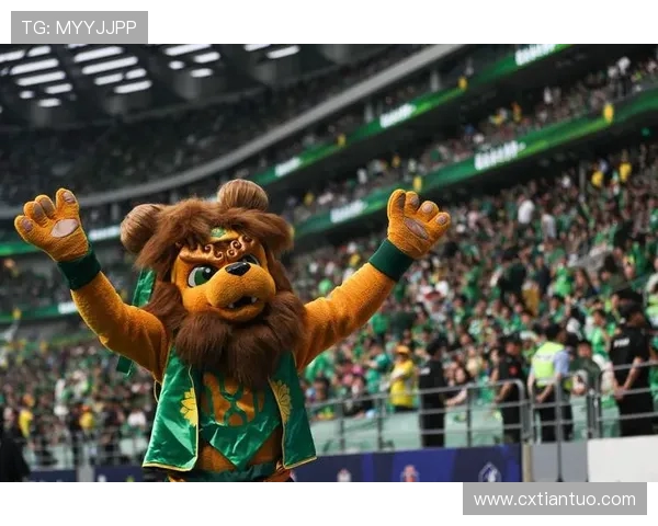 上海足球队技术表现深度解析与大满贯点评的全面回顾