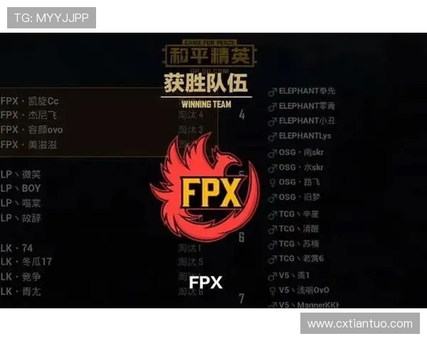 和平精英赛事引发热议RNG实力争议背后的深层分析与讨论