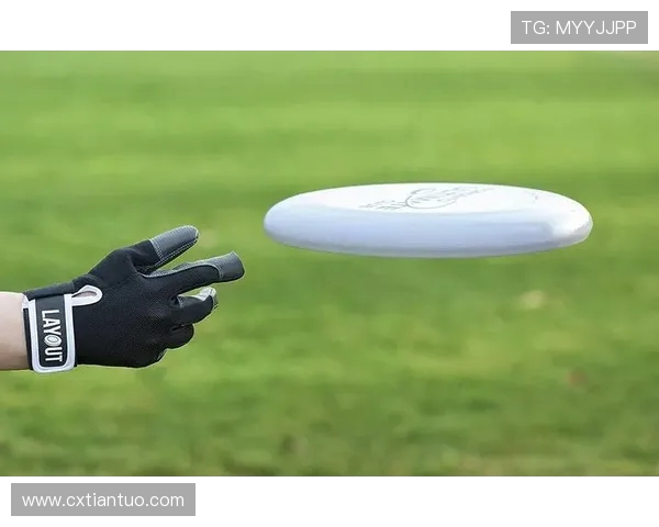 杨军专访：从初学者到飞盘高手的成长与坚持之路