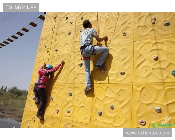 成都攀岩队员个人能力深度对比与分析揭示团队潜力与发展方向