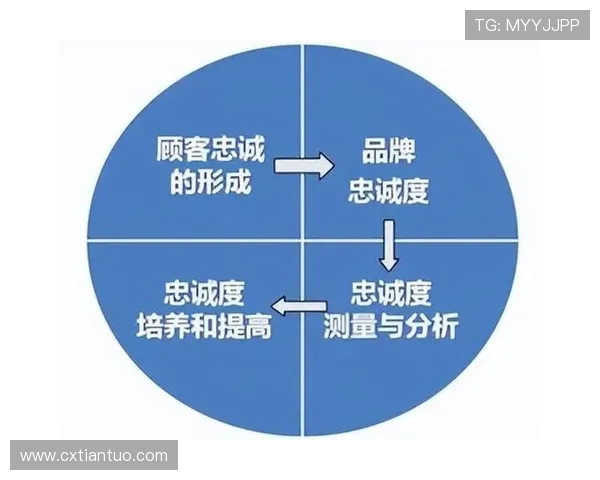 数据分析揭示EDG团队协作表现的关键因素与提升策略