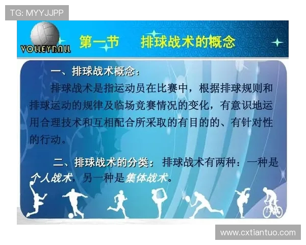 杭州排球队技术分析与发展探讨聚焦排球运动的未来与挑战