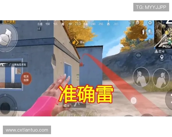 和平精英热议：BLG战队意识引发的争议与讨论分析